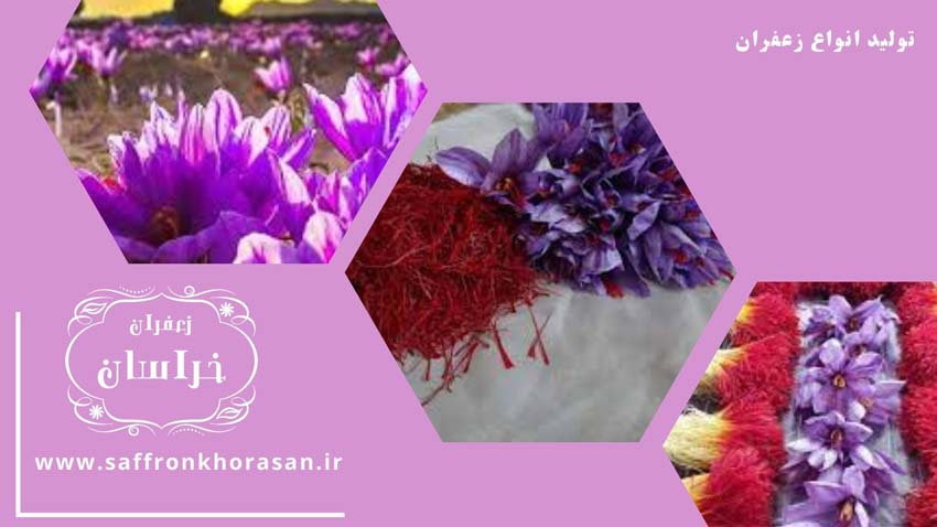 زعفران مشهد تولید شده از گل زعفران