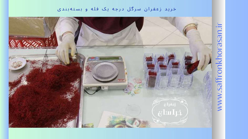 خرید زعفران سرگل فله و بسته‌بندی شده